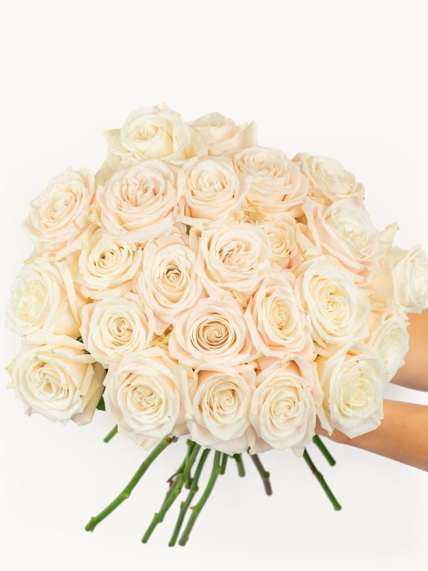 1692202384-1_bb039-24_white-roses_hands